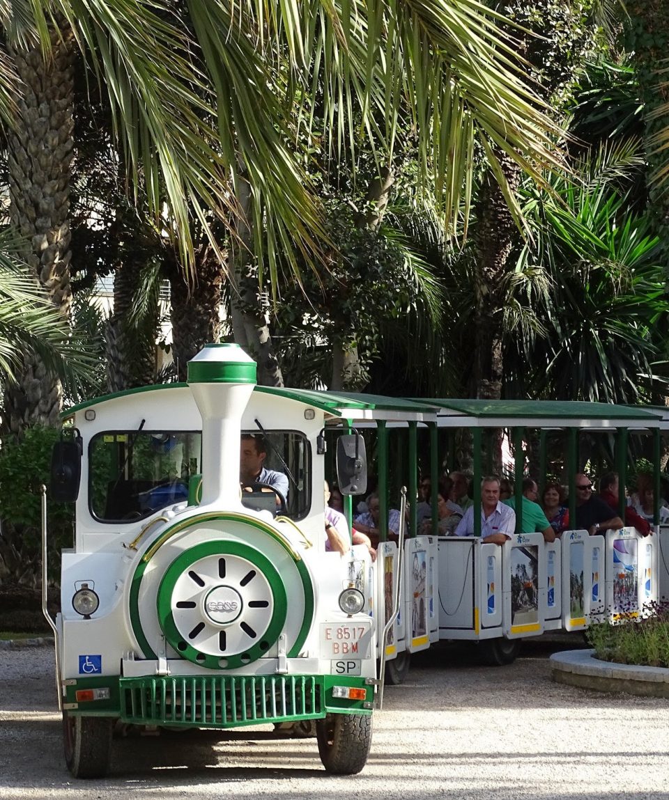 Paseo Tren Turístico Elche VisitElche