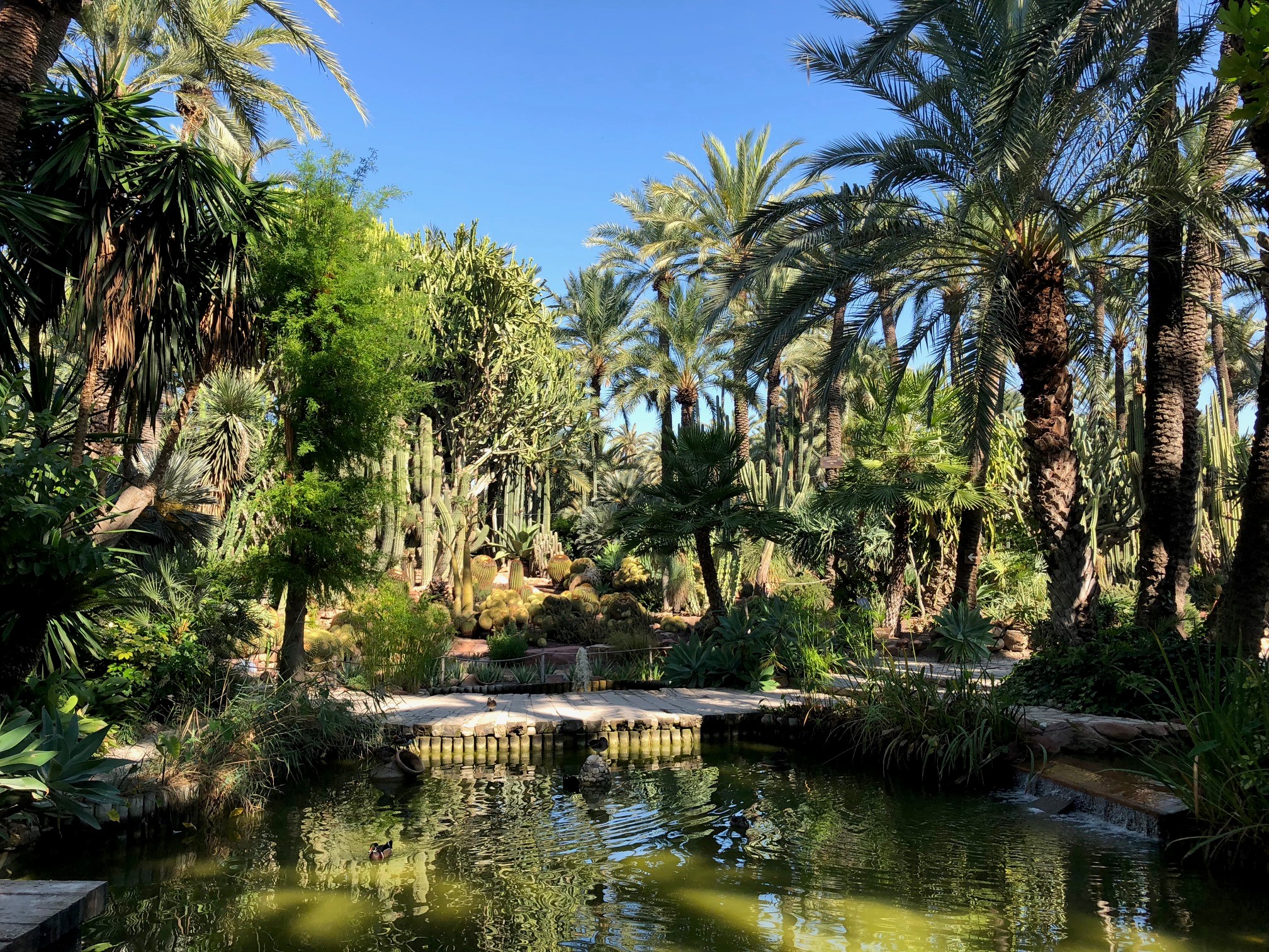 Fotografía del Jardín Artístico Nacional Huerto del Cura Elche