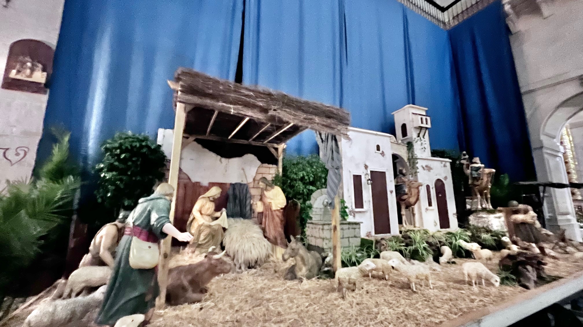 Nacimiento del Niño Jesús Navidad Elche Basílica de Santa María