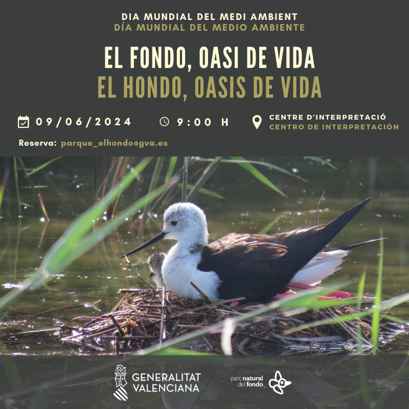 Día Mundial del Medio Ambiente en el Parque Natural de El Hondo