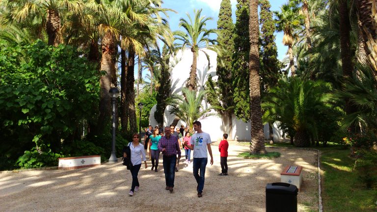 Foto de las visitas guiadas por el palmeral de Elche