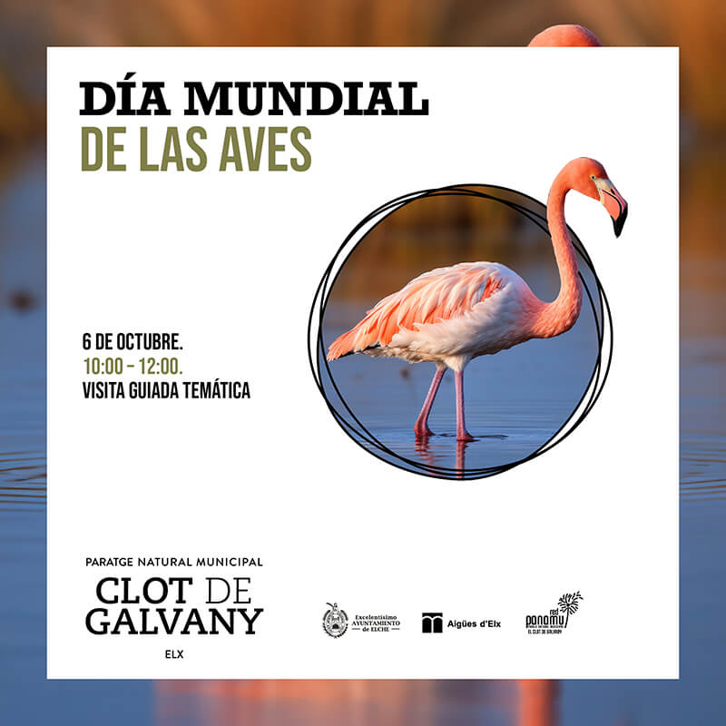 Cartel del Día Mundial de las aves Clot de Galvany