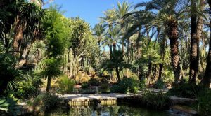 Foto del interior del Jardín Huerto del Cura