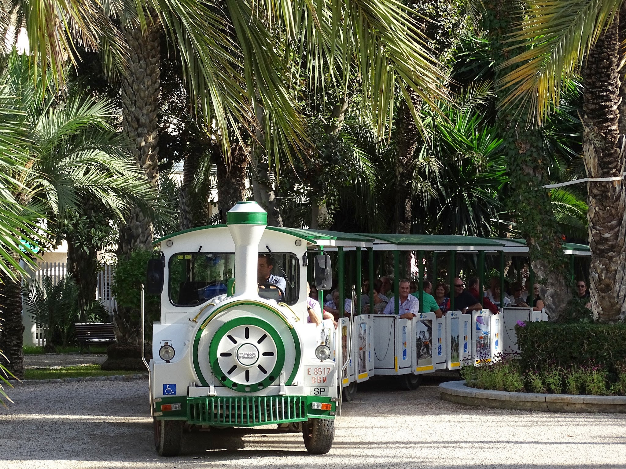 Experiencias en Elche, paseo con el Tren Turístico