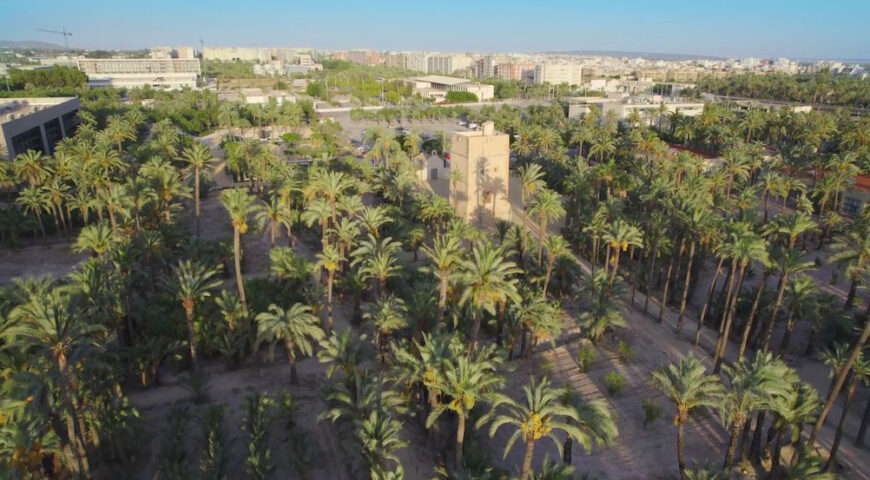 Torre de los Vaillos Elche