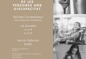 03 12 2022 DIA INTERNACIONAL DE LES PERSONES AMB DISCAPACITAT INSTAGRAM