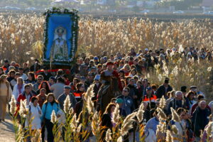 Romería de la Venida de la Virgen el 28 de diciembre. Fiestas Venida de la Virgen Elche