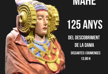 VISITES GUIADES DAMA