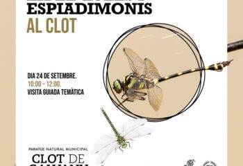 libelules_i_espiadimonis_al_clot