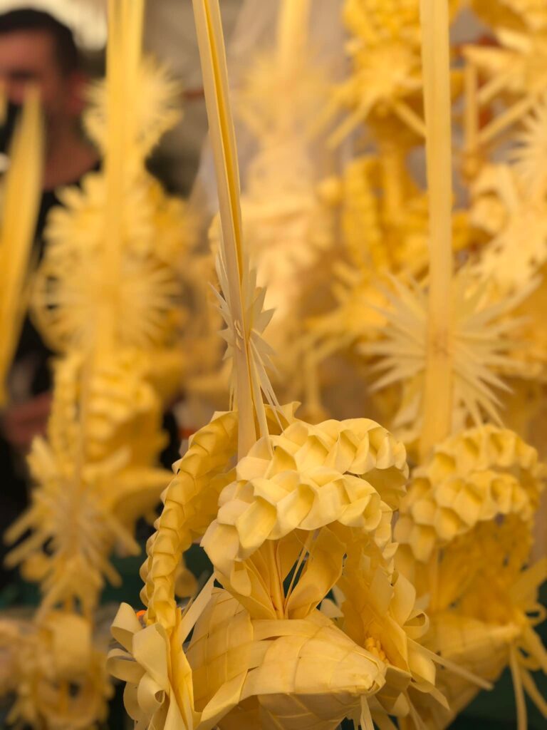 Fotografía del Mercado de Palma Blanca