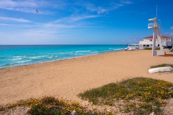 Foto de la Playa de El Pinet Elche