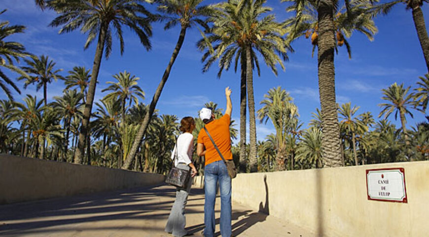 Ruta del Palmeral Elche (15)