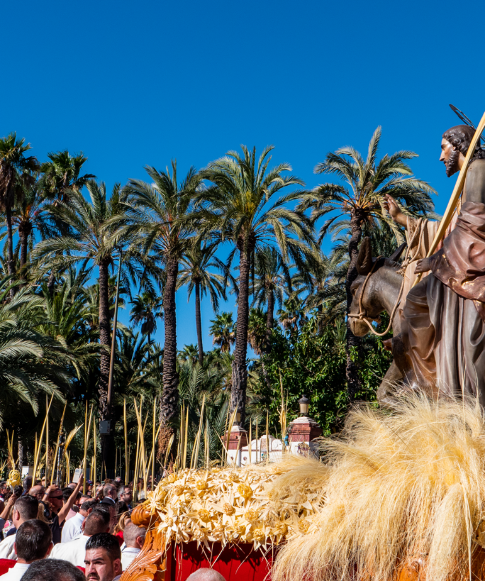 Domingo de Ramos Banner