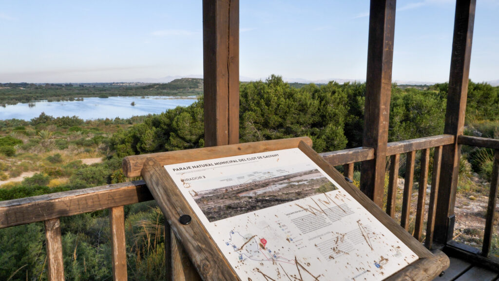 Ruta El Humedal en el Clot de Galvany Elche