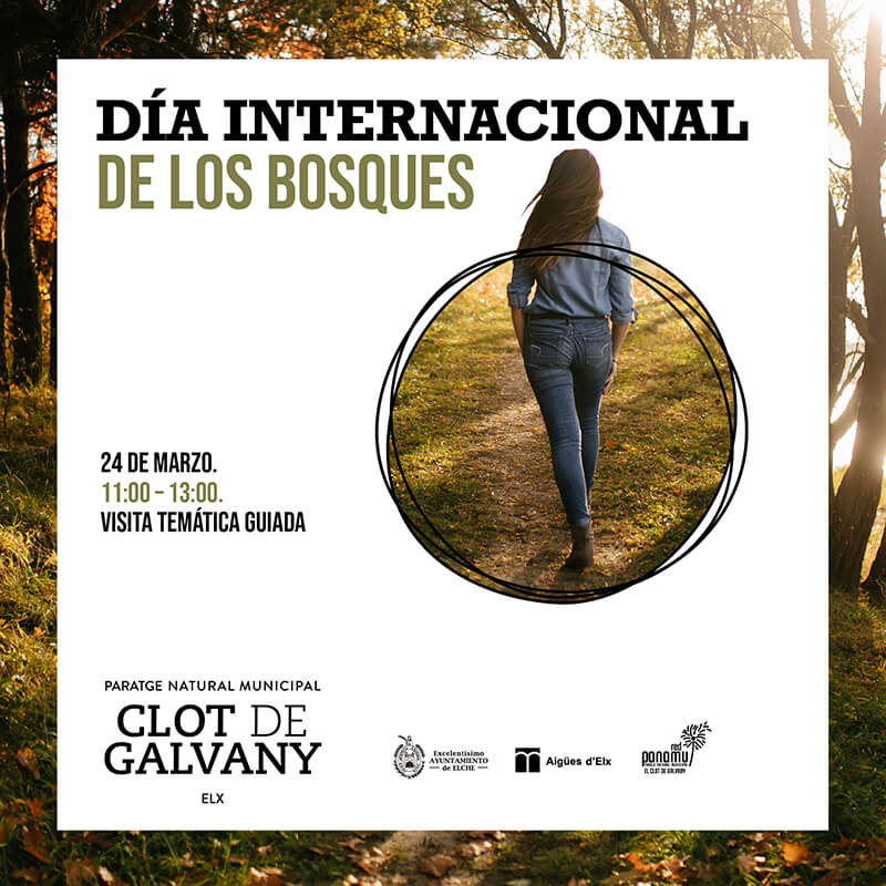 Cartel de la visita guiada por el Día Internacional de los Bosques en el Clot de Galvany de Elche