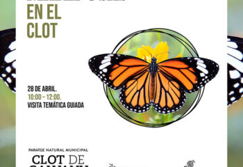 Mariposas en el Clot. Visita temática guiada