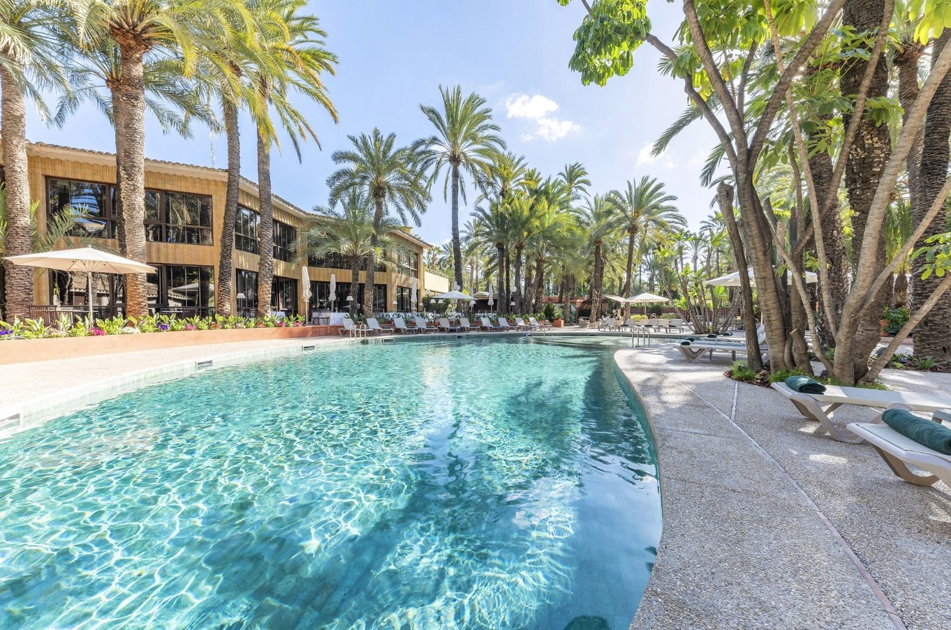 Piscina exterior Hotel Huerto del Cura Elche