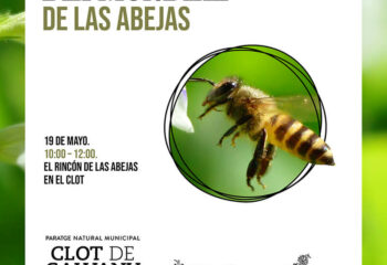 Día Mundial de las Abejas