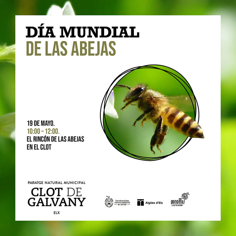 Día Mundial de las Abejas en el Clot de Galvany