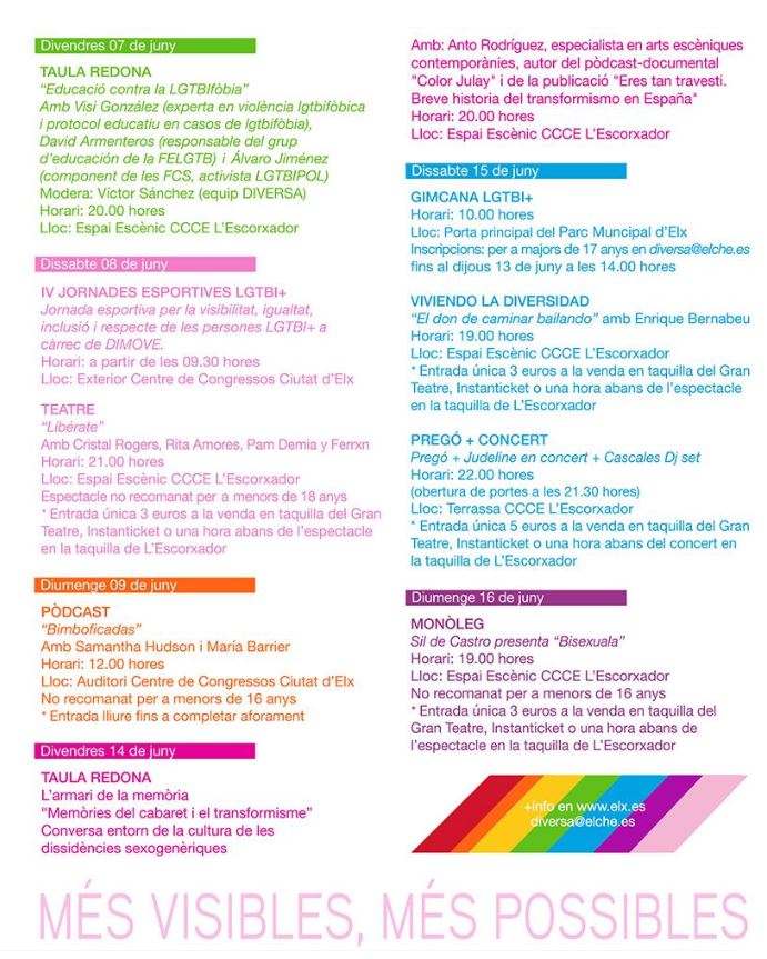 Programació Festival Diversa