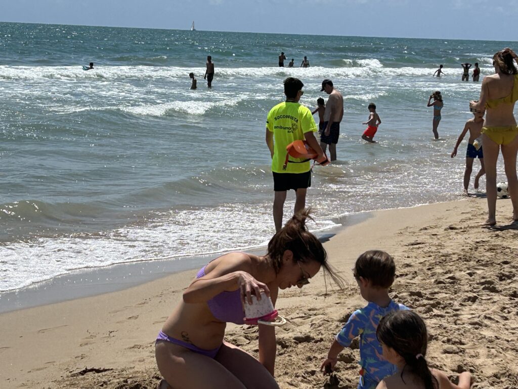 Servicio Salvamento y Socorrismo en las playas de Elche