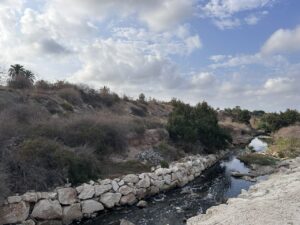 Sendero del Vinalopó Elche