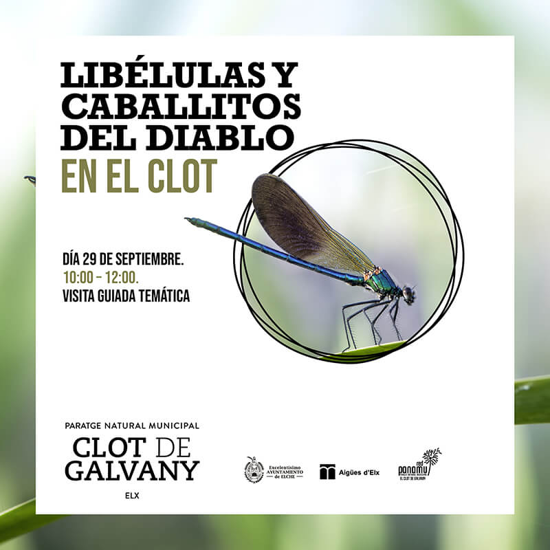 Visita Clot de Galvany 29 septiembre