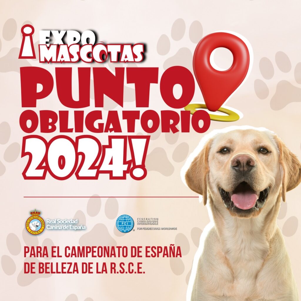 cartel de expomascotas