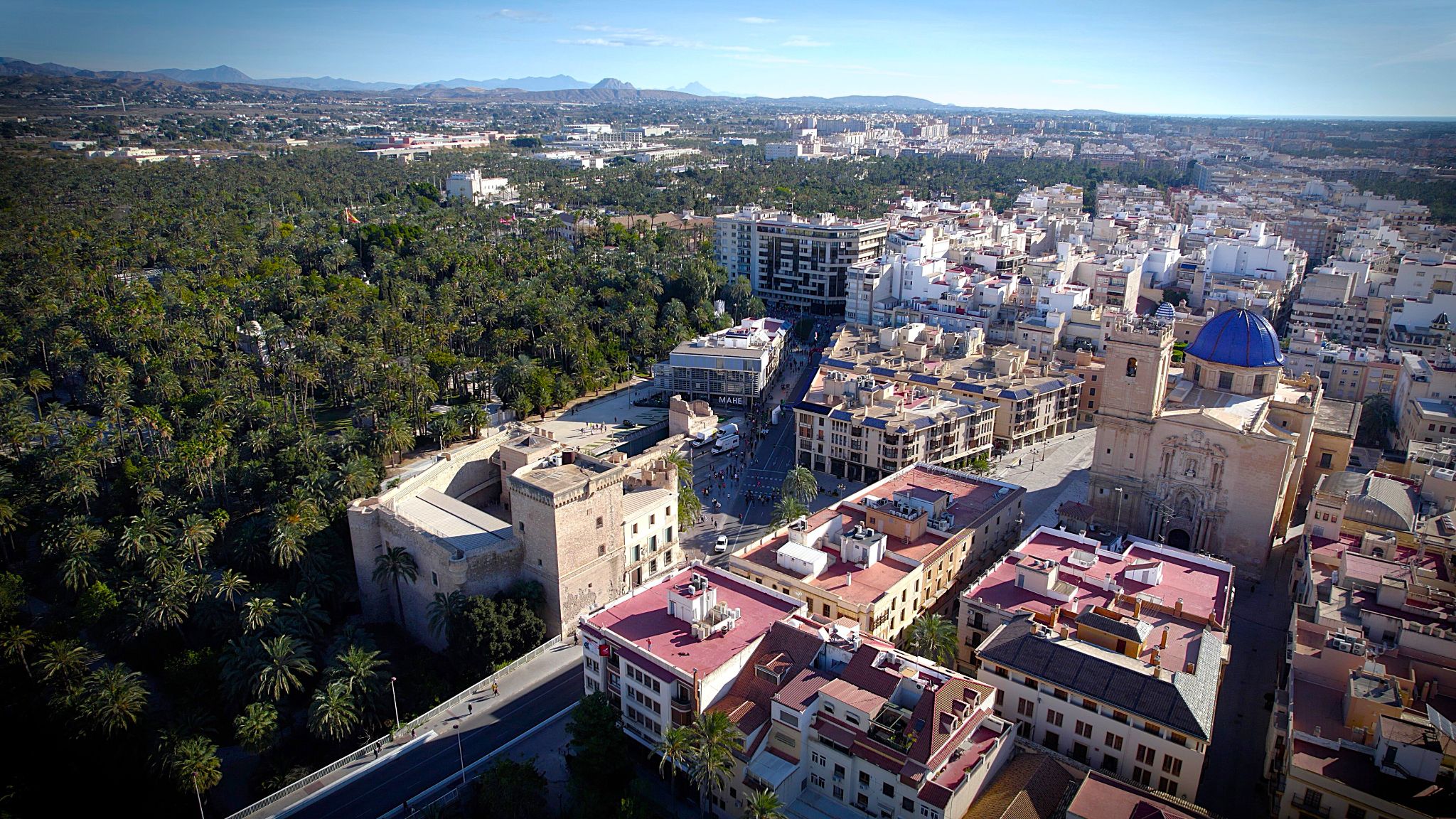 Elche Palmeral de Europa