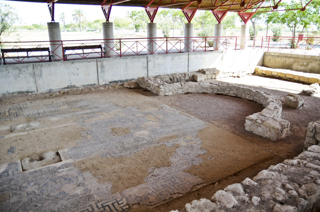 Basílica Paleocristiana - Sinagoga en el yacimiento de La Alcudia Elche